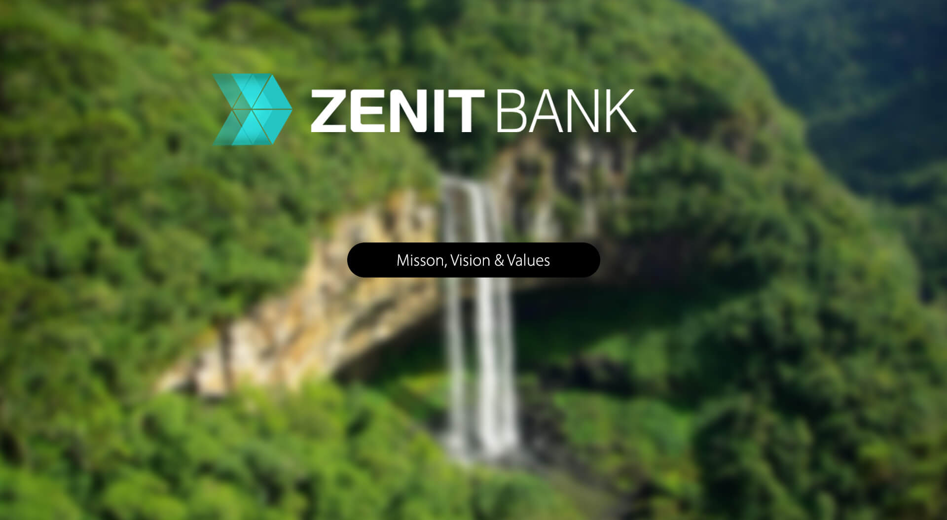 Client Services - Mission, Vision, Values